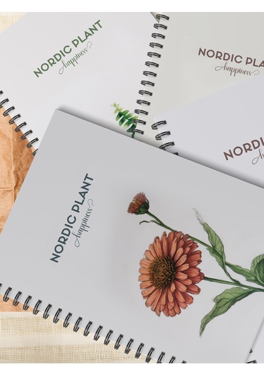 4'lü Spiralli Okul Defteri 60 Yaprak 4'lü Set - A5 Boy Kareli 15