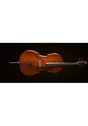 Valencia Ce160g14 Cello kılıf yay. German Sys. Scale 1/4. Karar