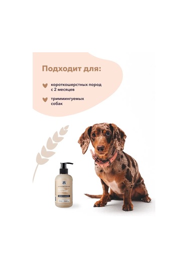 Lıssılandıa Yulaf Ve Aloe Vera Balsam-saç Kremi 412615085