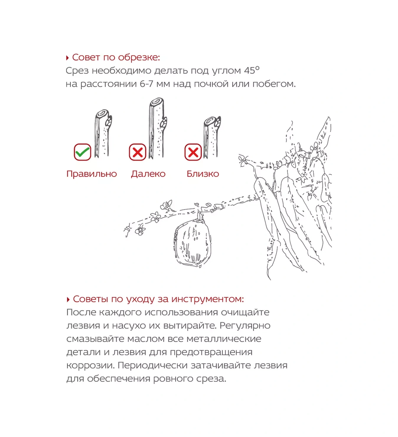 Frut Club Bugdet Ayarlanabilir Açılma Bahçe Aşılı 20mm Kesim Bu Özelliği Sayesinde, Budama Makası, 20 Mm'ye Kadar Kesi