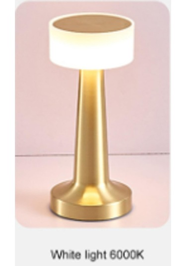 Taşınabilir Şarjlı Masa Lambası Dimmerli Dekoratif Denver Abajur