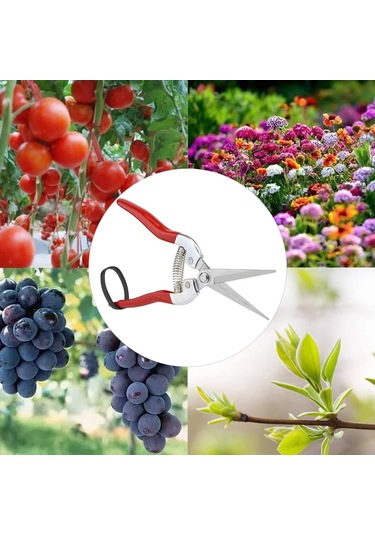 Bahçe El Makası Bahçe Makas Budama Makası Mikro-ucu Budama Snips