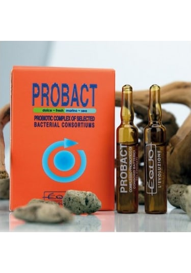 Equo Probact 6 x 5 ML Ampül Probiyotik Kompleks