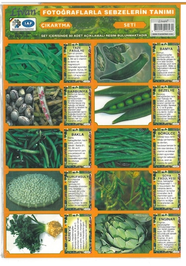 fotoğraflarla sebzelerin tanımı Seti Sticker Çıkartmalı