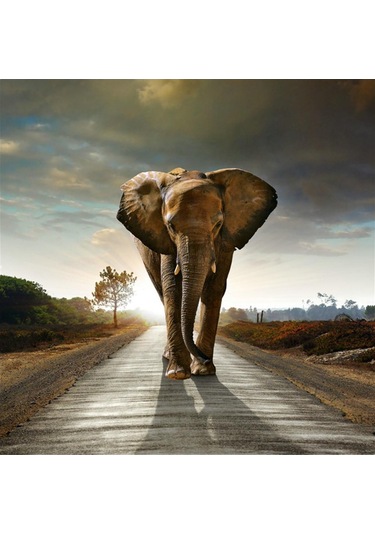 Suntek 40 Cm Tuval Baskı Duvar Sanatı Resim Dekor Süslenmiş