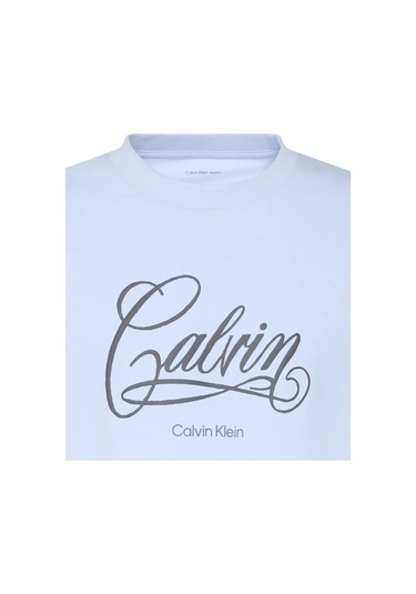 Calvin Klein Erkek Tişört-lv04re804g Purple