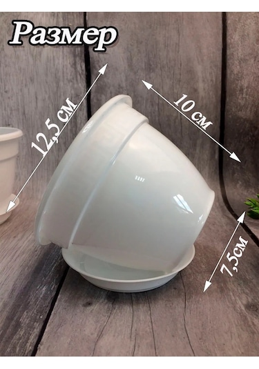 Saburg Çiçek Ve Sukkulent Saksıları, Viola Seti, Tepsili. 295691894