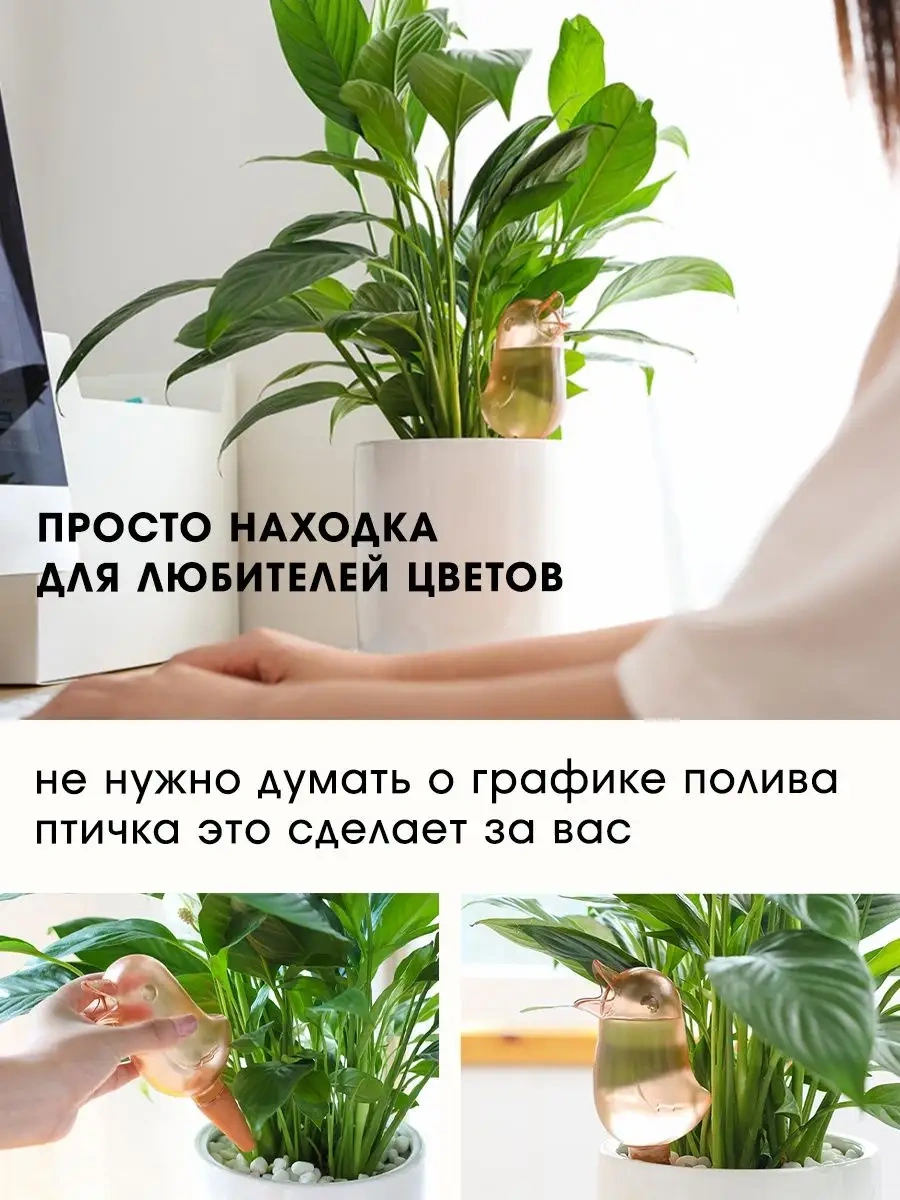 Vantys Damla Sulama Seti, İç Mekan Bitkileri İçin Otomatik Sulama 163737813