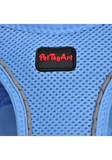 Pettagart Airmesh Mavi Göğüs Tasması Turuncu