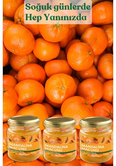 Hanzade Bitkisel Mandalina Macunu 3'lü Set Zencefil, Zerdeçal, Havlıcan, Tarçın, Bal & Propolis Içeren Karışık Bitkisel Macun 210 Ml