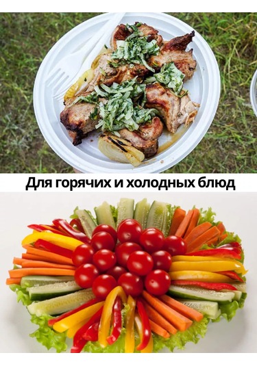 Ooo "kompanıa Servıs-pak" K Kullanımlık Plastik Tabaklar 100 Adet 20,5 Cm 218453484 100 adet