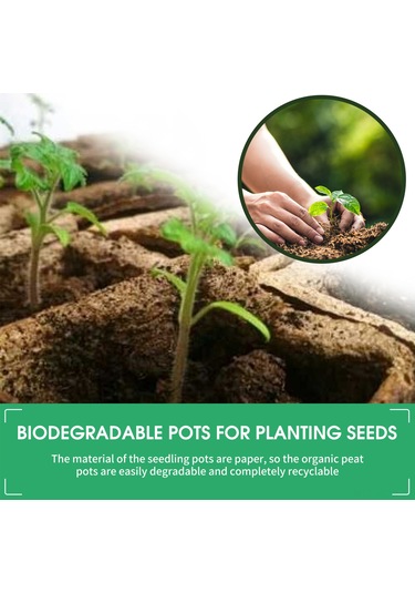 Neevoyu 100 Adet 8cm Biyodegradable Fidan Suketi + 100 Bitki Etiketi + Fidan Çekici - Organik Toprak Dostu Fidan Yetiştirme Seti