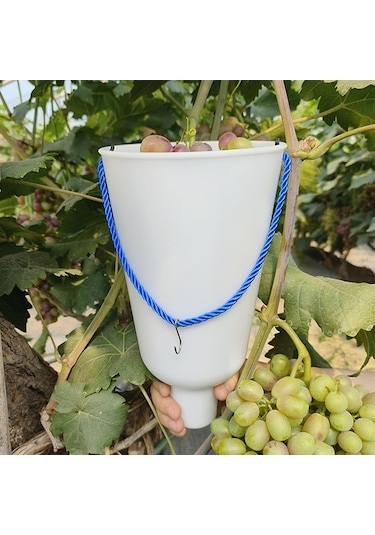 Pazly Yetiştirme Üzüm Suntek S Meyve Kabı Islatma Bakımı Jw