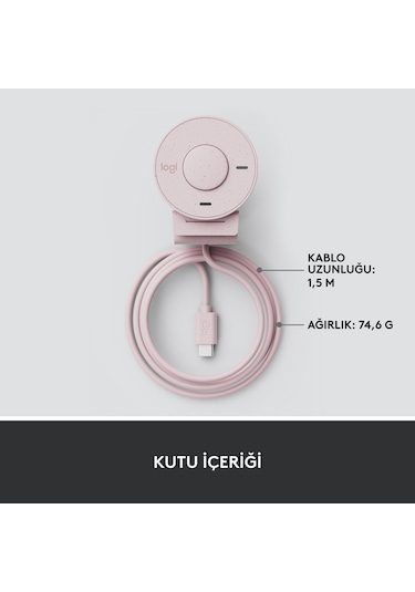 Logitech Brio 300 Full HD Webcam - Pembe 960-001448