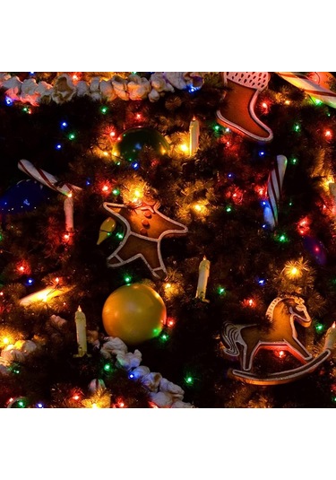 Tenfowee Güneş Enerjili Renkli Led Bahçe Aydınlatma Seti, 200 Led, 39.4 Ft, Su Geçirmez, 2 Paket