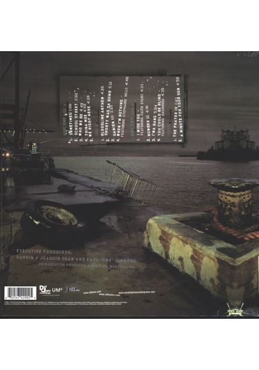 Dmx - The Great Depression Limited 2 X Plak