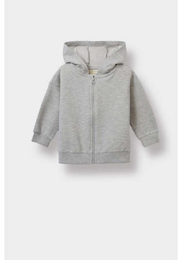 Defacto Erkek Bebek Kapüşonlu Fermuarlı Sweatshirt E8697a525augr93 Gri