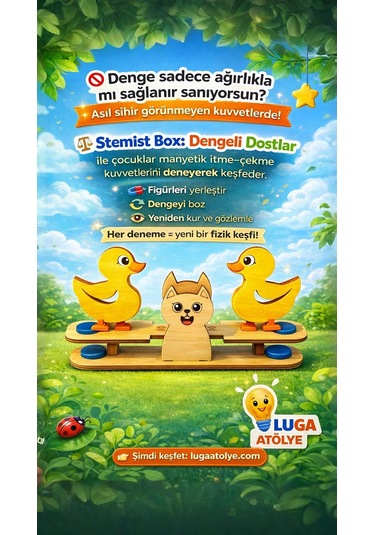 Stemist Box: Dengeli Dostlar