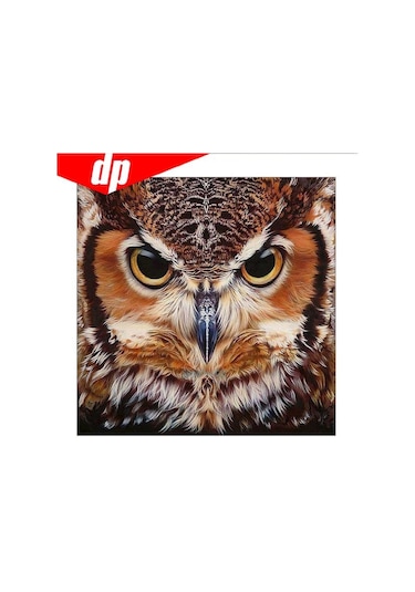 Elmas Nakış Hayvan Baykuş 5d Elmas Boyama Çapraz Dikiş