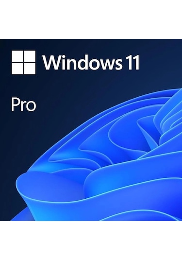 Windows 11 Professional 64 Bit Türkçe Kutu Hav-00159 (543062266)