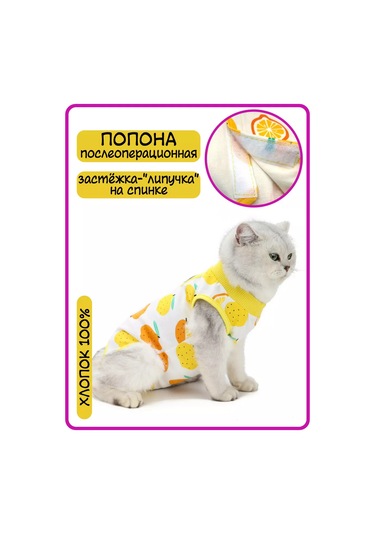 Best Golden Monkey Kediler İçin Ameliyat Sonrası Örtü 95680511