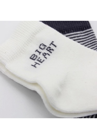 Bistyle Big Heart Penye Soket Çorap 2'li Bs10117 Antrasit Antrasit