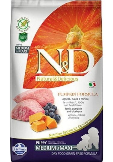 N&D Puppy Tahılsız Bal Kabaklı Kuzu Etli Orta ve Büyük Irk Yavru Köpek Maması 12 KG