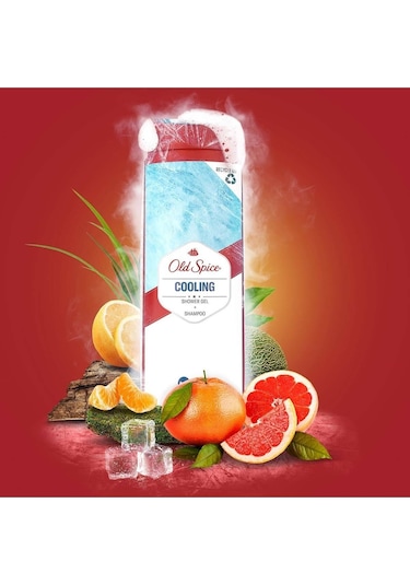 Duş Jeli & Şampuan 400 Ml Cooling Diğer