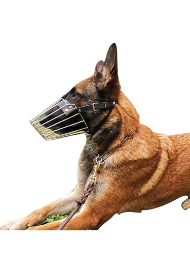 Homyl Köpekler Namlu Pet Malzemeleri Tel Sepet Alabilir