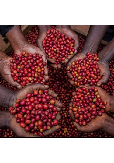 Mineiro Coffee Etiyopya Sidamo Öğütülmüş Filtre Kahve 250 G