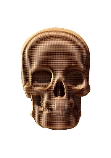 Cartonic 3d Puzzle - Skull