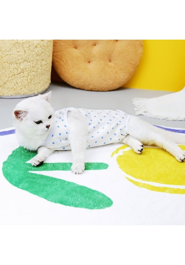 Hangfox Kedi Cerrahi Sonrası Giysi - Doğum Sonrası Kıyafet, Yalama Engeli, Sağlam Malzeme, Mavi Dört Yapraklı Çiçek Desenli