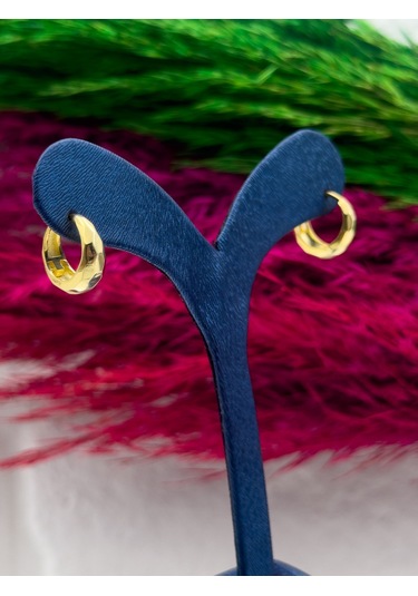 925 Ayar Gümüş Kalemli Gold Renk Halka Modeli Zarif Kadın Küpe Gümüş