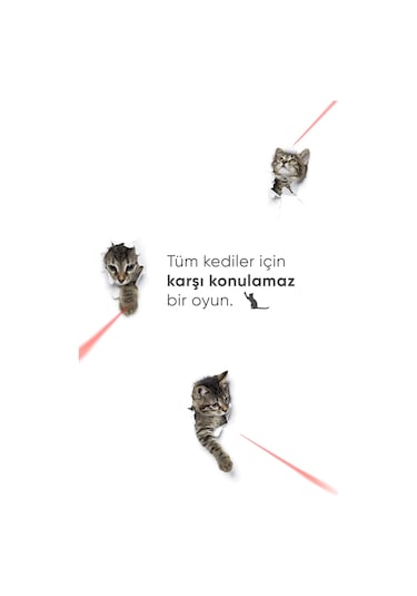 Şımart Akıllı Kedi Oyuncağı