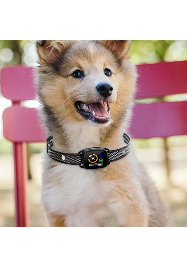 Homyl Akıllı Anti Havlama Tasması Köpek Küçük Orta Büyük