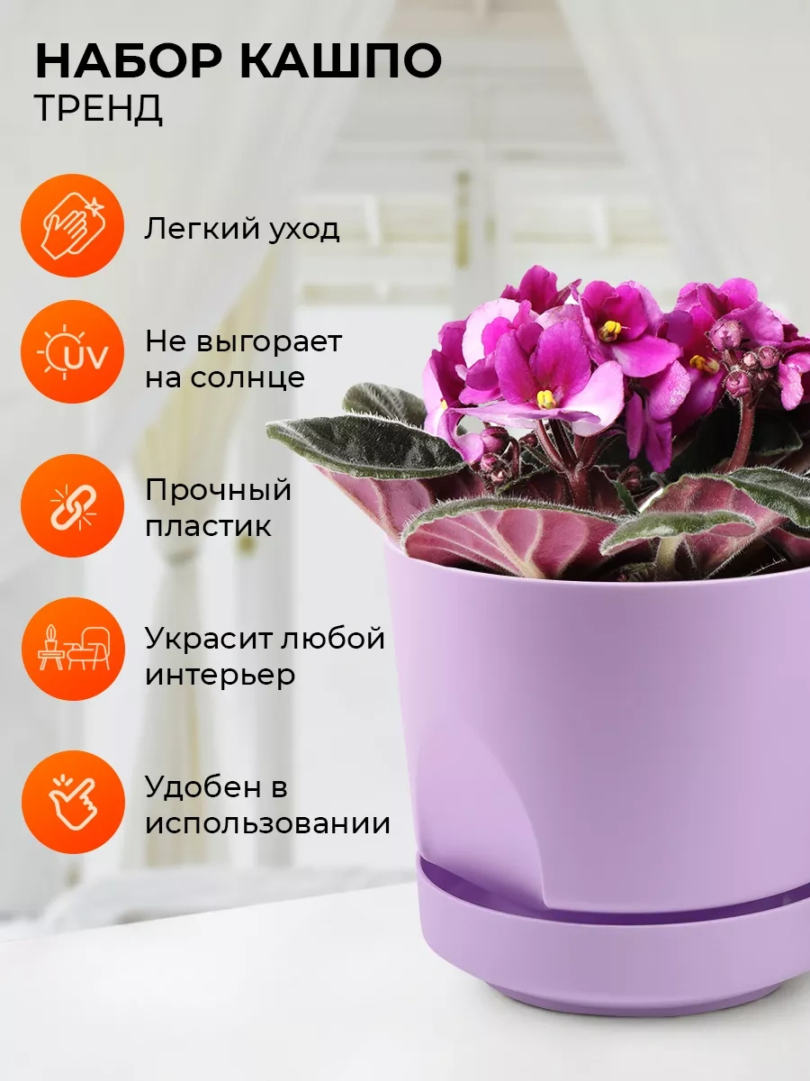 La Decoro Sukulentler İçin Saksı, Menekşe Saksıları, Kaktüs Saksısı. 233787581