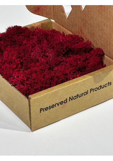 Reindermoss Şoklanmış Norveç Yosunu Terarium Yosunu Fushia 100 Gr.