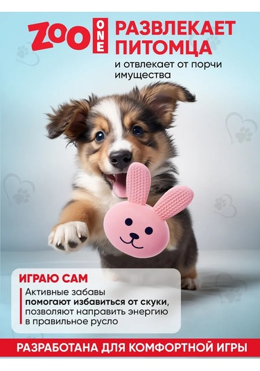 Zooone Cıvıltılı Top Köpek Oyuncağı 184367161