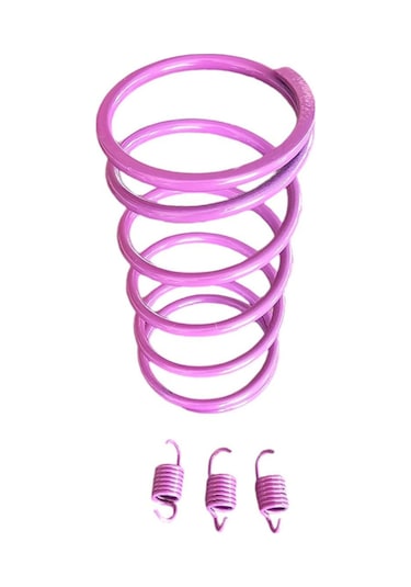 Hero Pleasure 100cc Motosiklet Arka Varyatör Performans Yayı + Balata Yayı  (1500 Rpm)