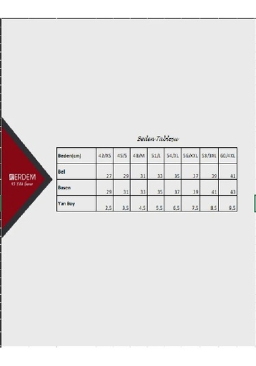 Erdem Kadın Likralı Bikini Külot 7105 - 3 Adet 001