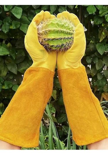 Teltree Uzun Kollu Deri Bahçe Eldiveni, Dikenli Bitkiler İçin Kesme Ve Çizik Korumalı, M Bedeni, Kahverengi-sarı