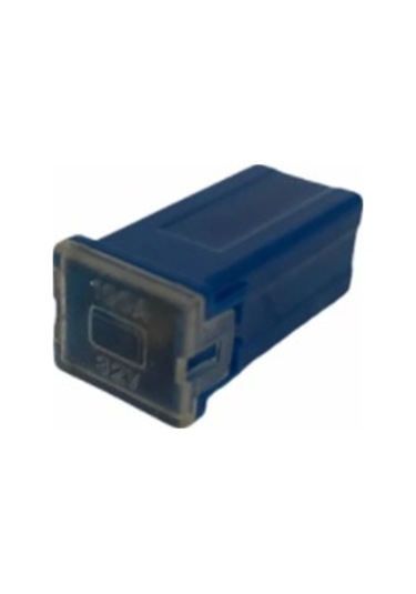 Mini Dişi Sigorta 100 A 14 Mm
