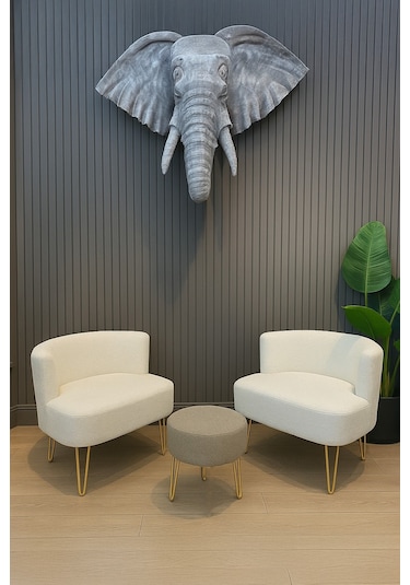 Elegance 2'li Çay Seti Berjer Ve Puf Takımı Beyaz