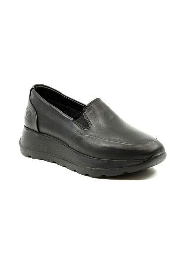 Dexter Tp2380-61 Çok Renkli