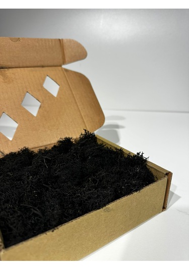 Reindermoss Şoklanmış Norveç Yosunu Terarium Yosunu Siyah 100 Gr.