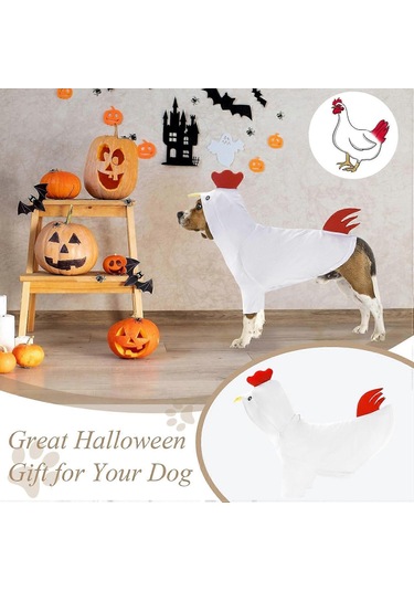 Küçük Orta Boy Evcil Hayvanlar İçin Köpek Cadılar Bayramı Tavuk K