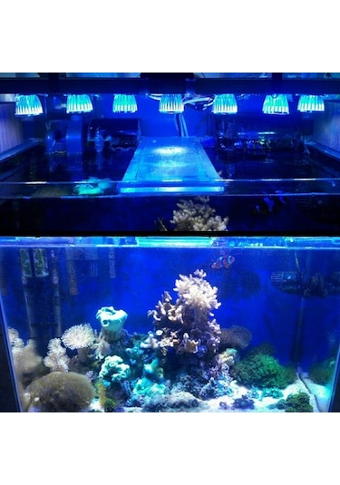 Silkroadselect 3uv 6mavi Tarzı E27 Led Akvaryum Lambası Ac110v 220v 240v Su Bitkileri Yetiştirme Işığı Ampulü Balık Tankı Aydınlatması Beyaz