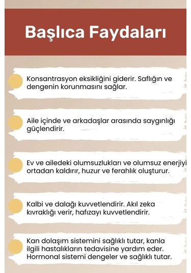 Unisex Doğal Mercan Taşı Bileklik Kırmızı Konsantrasyon Saflık Denge Nazar Çakra Bilekliği Çok Renkli