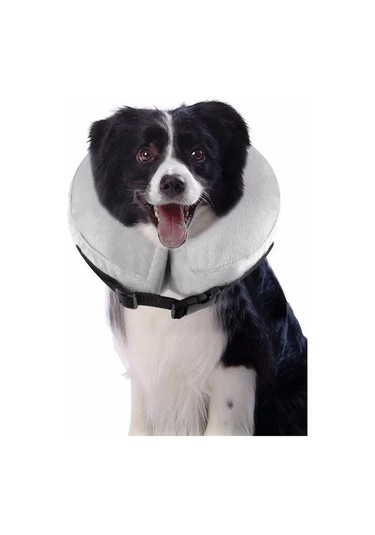 Wikivet Köpekler Ve Kediler İçin Koruyucu Şişme Boyunluk 277205056