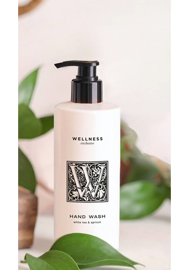 Wellness Exclusive White Tea & Apricot Hand Wash 380 ML